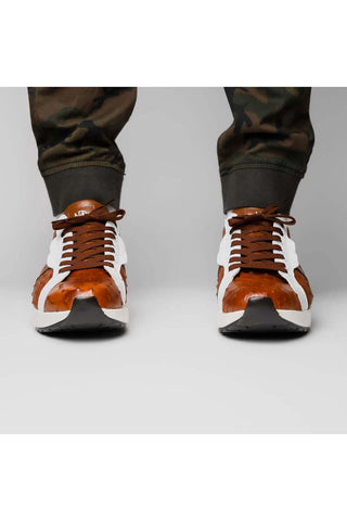 Marco Di Milano Lyon II Brandy & White Calf-Skin / Ostrich Leg Casual Sneakers (MDM1068)-AmbrogioShoes