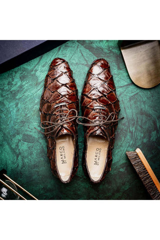 Marco Di Milano Olivieri Brown Exotic Pirarucu Leather Whole cut Oxfords (MDM1028)-AmbrogioShoes