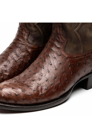 Marco Di Milano Savannah Kango Tabacco Exotic Ostrich Skin Cowboy Boot (MDM1230)-AmbrogioShoes