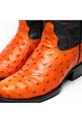 Marco Di Milano Savannah Ostrich Boot-AmbrogioShoes