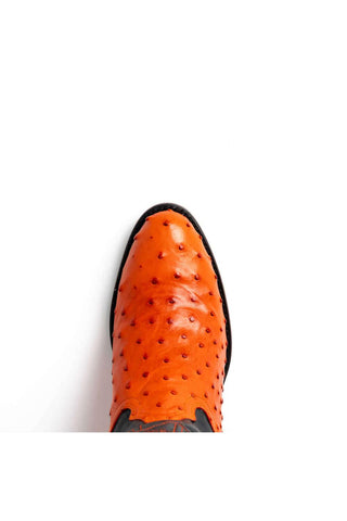 Marco Di Milano Savannah Ostrich Boot-AmbrogioShoes