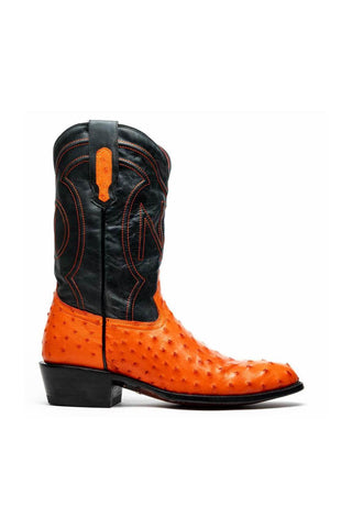Marco Di Milano Savannah Ostrich Boot-AmbrogioShoes