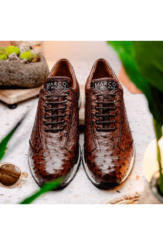 Marco Di Milano Scanno Brown Exotic Ostich Casual Sneakers (MDM1051)-AmbrogioShoes