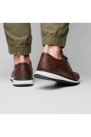 Marco Di Milano Scanno Brown Exotic Ostich Casual Sneakers (MDM1051)-AmbrogioShoes