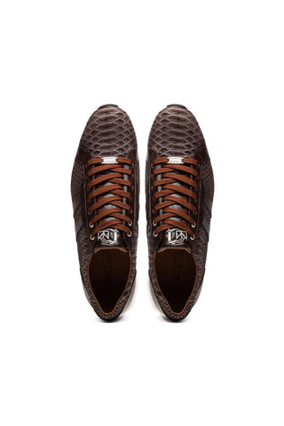 Marco Di Milano Verona Brown Exotic Python / Calfskin Fashion Sneakers (MDM1160)-AmbrogioShoes