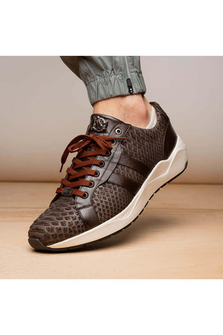 Marco Di Milano Verona Brown Exotic Python / Calfskin Fashion Sneakers (MDM1160)-AmbrogioShoes