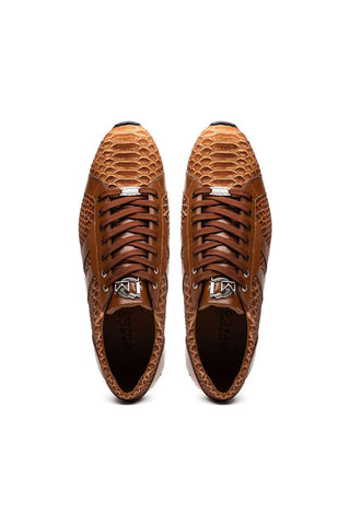 Marco Di Milano Verona Honey Exotic Python / Calfskin Fashion Sneakers (MDM1160)-AmbrogioShoes