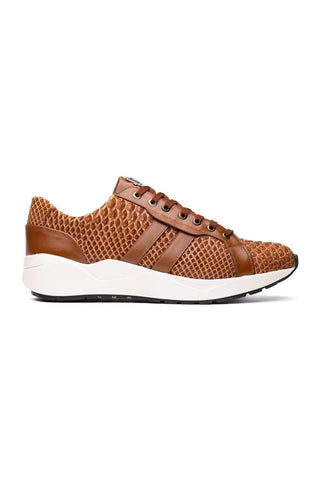 Marco Di Milano Verona Honey Exotic Python / Calfskin Fashion Sneakers (MDM1160)-AmbrogioShoes
