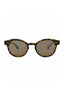 21137 - Tortoise Tortoise Bronze