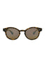 21137 - Tortoise Tortoise Bronze