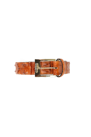 Mauri 0100/35 Men's Hornback Belt (MAB1067)