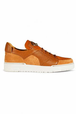 Mauri 8412 Boss Crocodile, Suede & Patent Sneakers-AmbrogioShoes