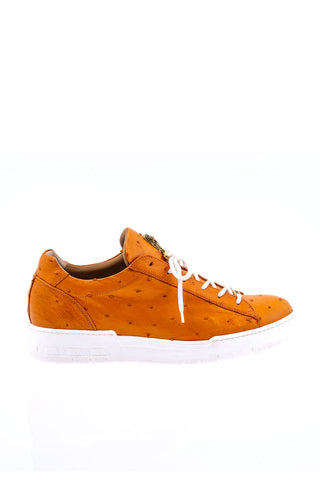 Mauri 8825/2 Ostrich Sneaker-AmbrogioShoes