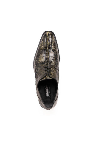 Mauri Borsieri 4717/3 Crocodile / Hornback Derby