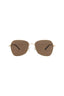 70043 - Gold Gold Brown