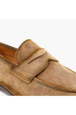 Mezlan Caro 21312 Suede Penny Loafers (MZ3755)-AmbrogioShoes