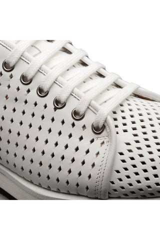 Mezlan Luce 21154 Perforated Calf-Skin Leather Sneakers (MZ3737)-AmbrogioShoes
