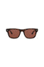 20355 - Havana Havana Brown