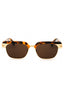 6064 - Havana brown