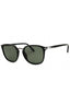 95/58 - Black/Green Polarized