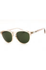 611771 - Shiny Transparent Light Taupe Brown/Green