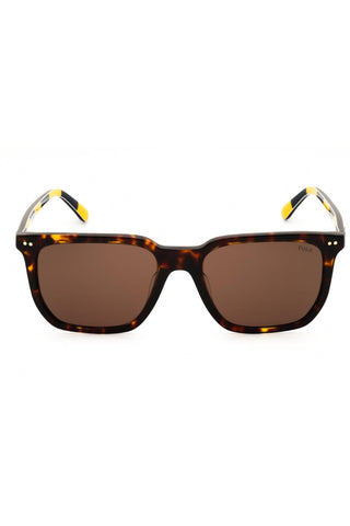 Polo Ralph Lauren 0PH4224F Sunglasses-AmbrogioShoes