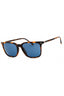 500187 - Glossy Tortoise / Blue