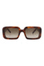 20355 - Havana Havana Brown