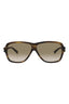 20355 - Havana Havana Brown