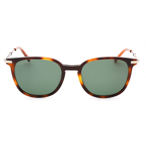 Salvatore Ferragamo SF1015S Sunglasses TORTOISE/Green-AmbrogioShoes