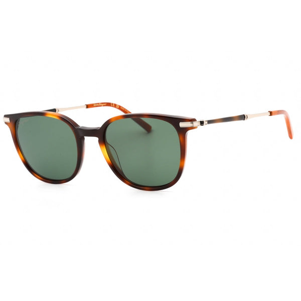Salvatore Ferragamo SF1015S Sunglasses TORTOISE/Green-AmbrogioShoes