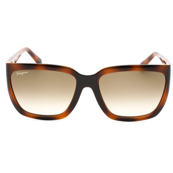 Salvatore Ferragamo SF1018S Sunglasses TORTOISE/Green Brown-AmbrogioShoes