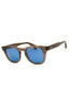 232 - BROWN TRANSPARENT/Blue