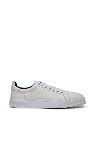 Studio Belvedere Matteo Deer Sneaker-AmbrogioShoes