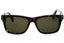 240 - TORTOISE/Brown