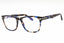 055 - Shiny Blue / Clear Lens