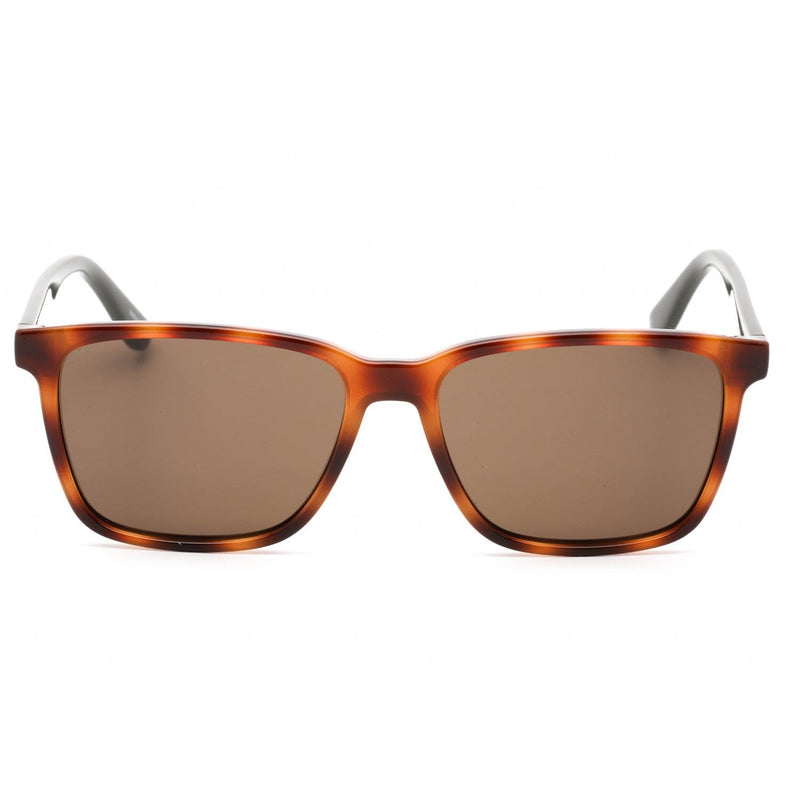 Tommy Hilfiger Th 1486/S Sunglasses HAVNBRWN/BROWN-AmbrogioShoes