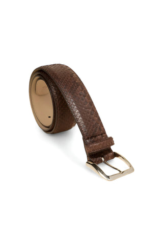 Tuzzi Uomo Python Belt - TZ1003-AmbrogioShoes