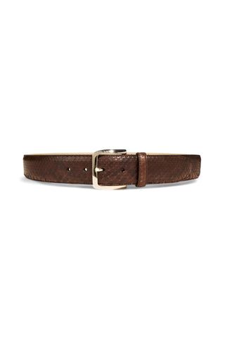 Tuzzi Uomo Python Belt - TZ1003-AmbrogioShoes