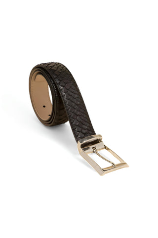 Tuzzi Uomo Python Belt - TZ1004-AmbrogioShoes