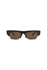 21183 - Tortoise-Tortoise-Brown