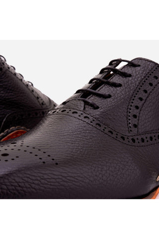 Vinci Draco Leather Brogue Oxford - Black-AmbrogioShoes