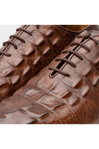 Vinci Randor Crocodile Skin Oxford - Brown-AmbrogioShoes