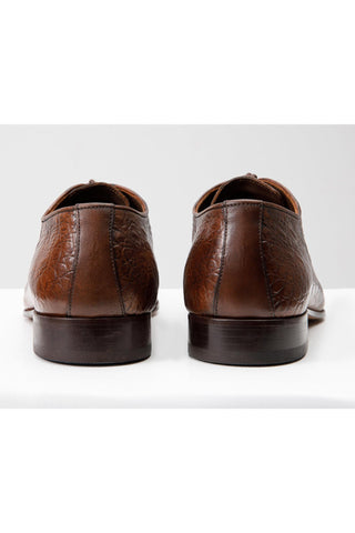 Vinci Randor Crocodile Skin Oxford - Brown-AmbrogioShoes