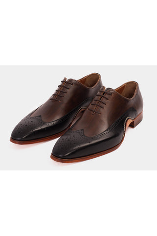 Vinci Royal Leather Oxford - Black & Brown-AmbrogioShoes