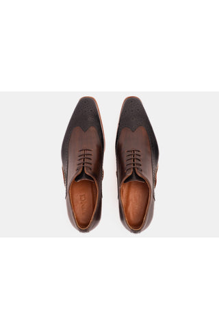 Vinci Royal Leather Oxford - Black & Brown-AmbrogioShoes