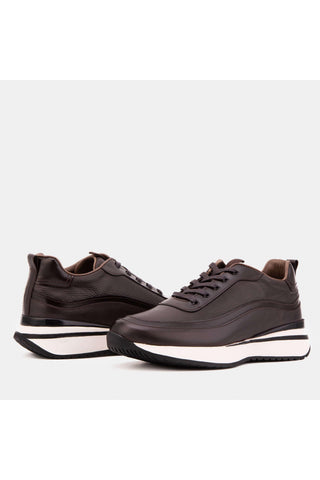 Vinci Veneto Leather Sneaker - Brown-AmbrogioShoes