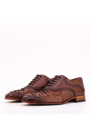 Vinci Veneto Python & Leather Oxford - Tan-AmbrogioShoes