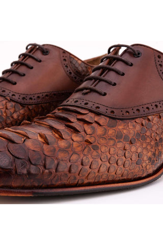 Vinci Veneto Python & Leather Oxford - Tan-AmbrogioShoes