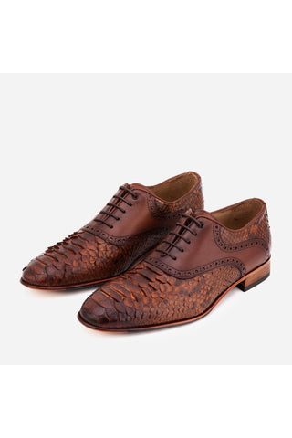 Vinci Veneto Python & Leather Oxford - Tan-AmbrogioShoes